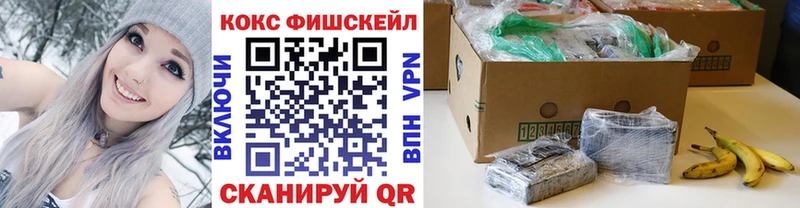 Купить  Губкин  COCAIN 99% 