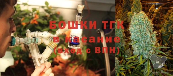 дурь Арсеньев