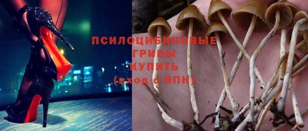 дурь Арсеньев