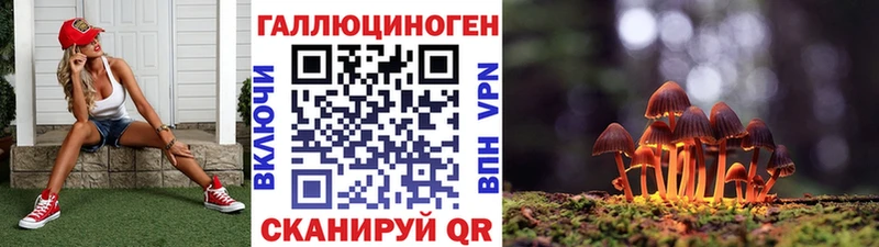 Псилоцибиновые грибы мухоморы  Купить закладки  Губкин 